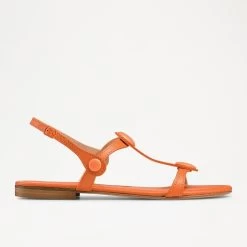 Double Disc Sandal