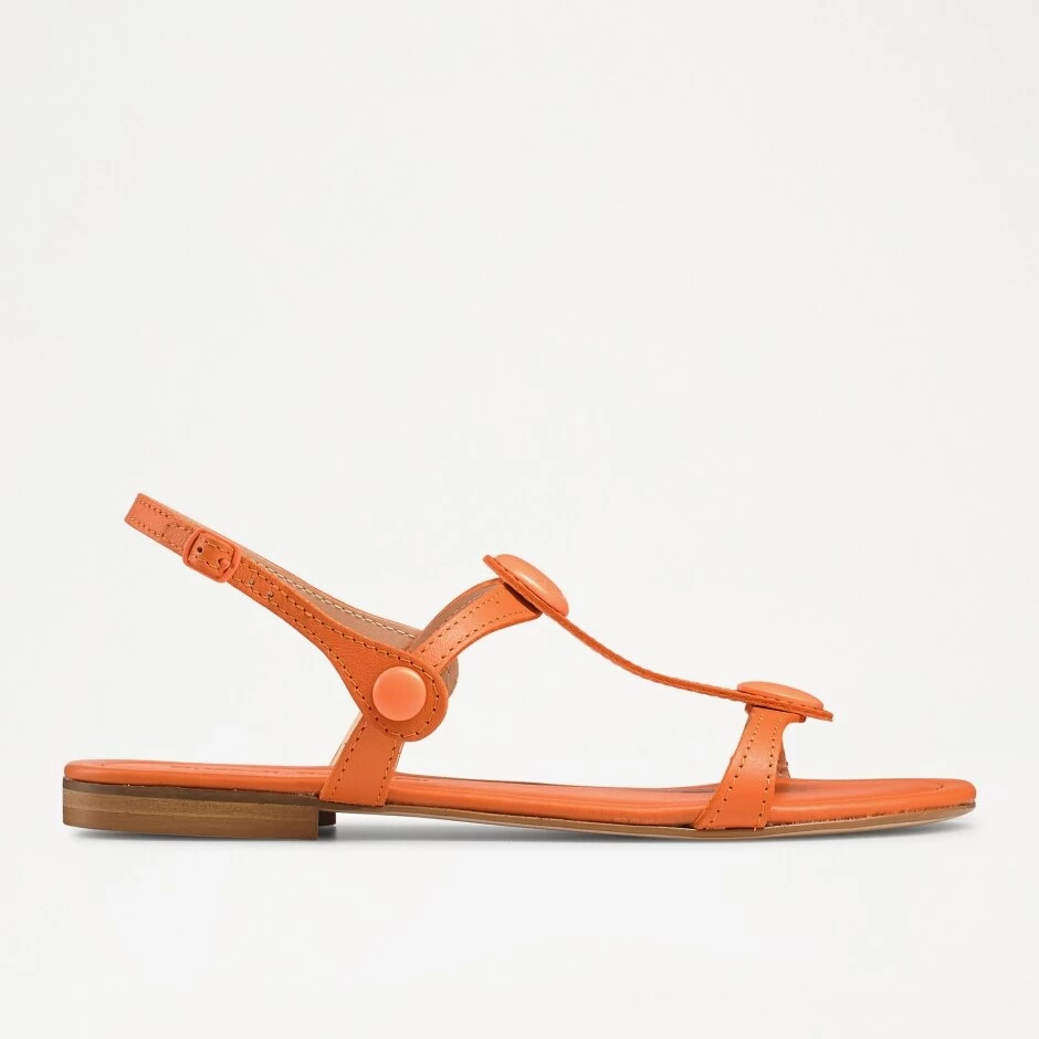 Double Disc Sandal 3 Double Disc Sandal