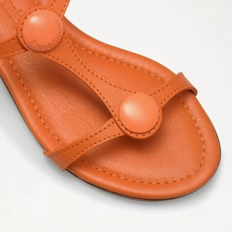 Double Disc Sandal 6 Double Disc Sandal - Image 4