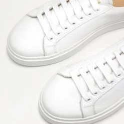 Low Top Lace Up -Farah images 7